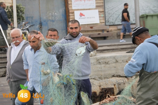 sayyadnewyaffa3 (38).JPG